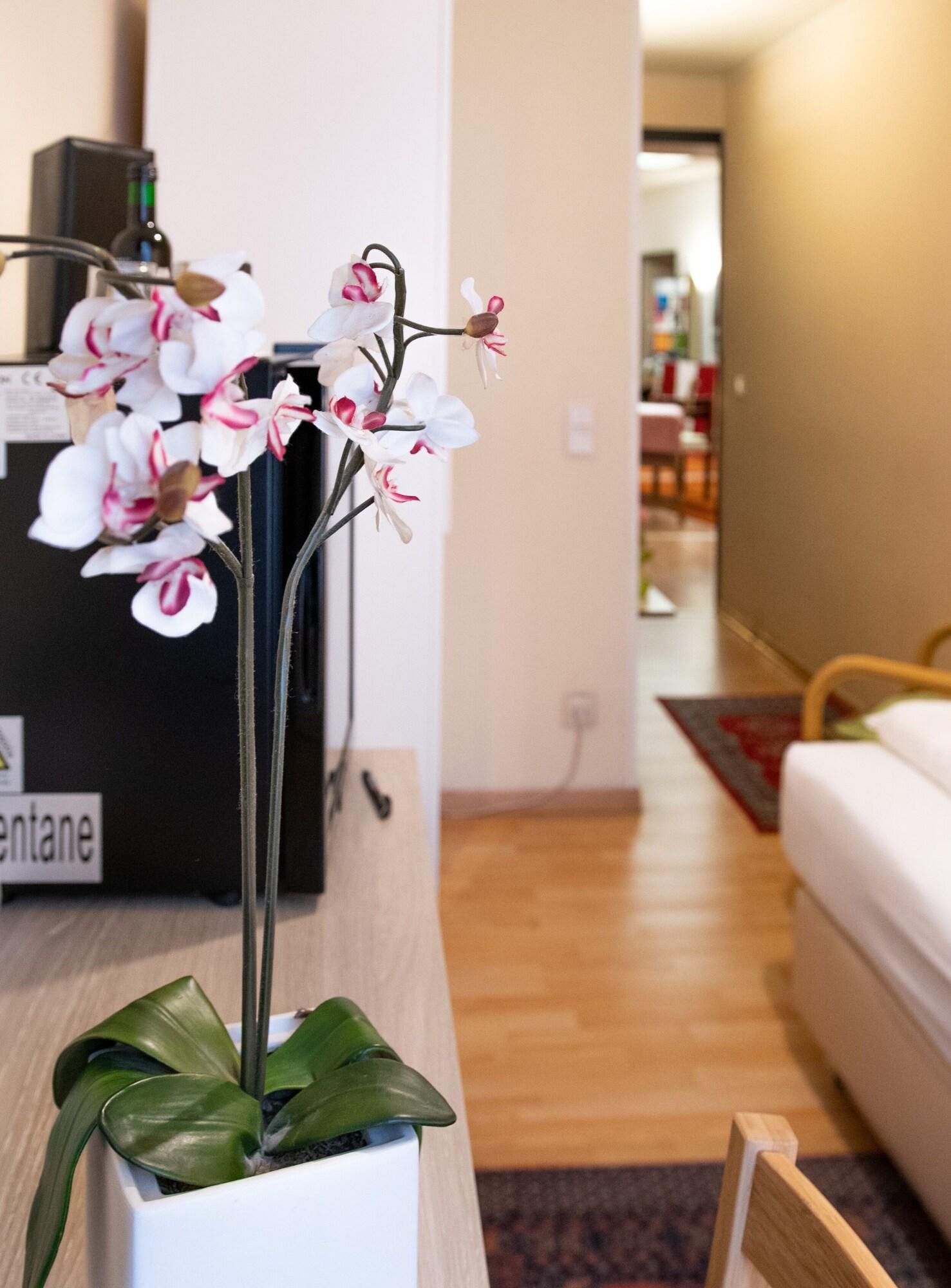 Pension Hotel Mariahilf Відень Екстер'єр фото